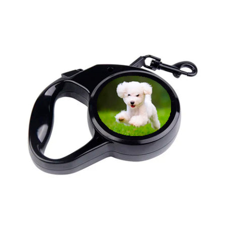 8. Accesorios para Animales